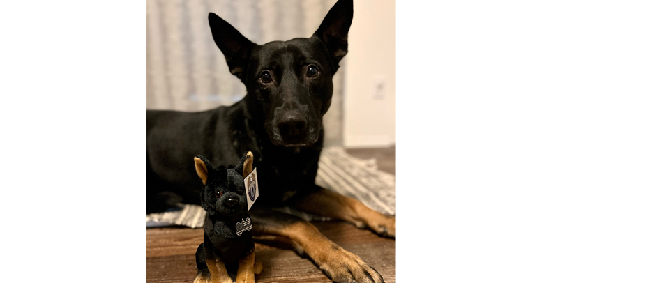 New online store with K9 plush now available